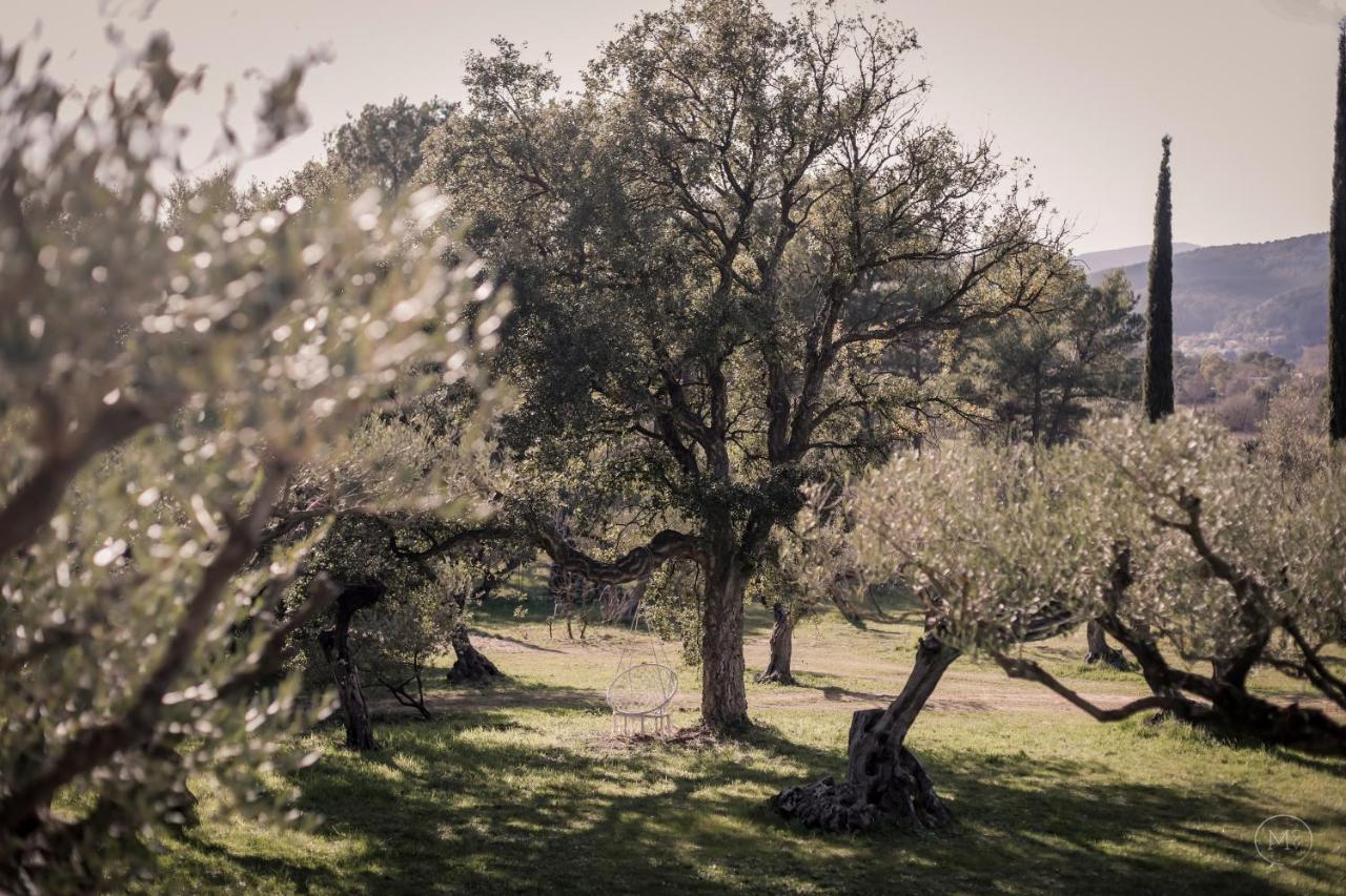 Les Hauts De Diane, Cuers Var エクステリア 写真